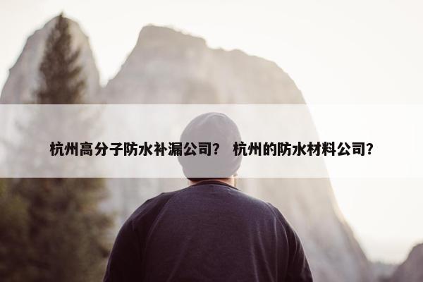 杭州高分子防水补漏公司？ 杭州的防水材料公司？
