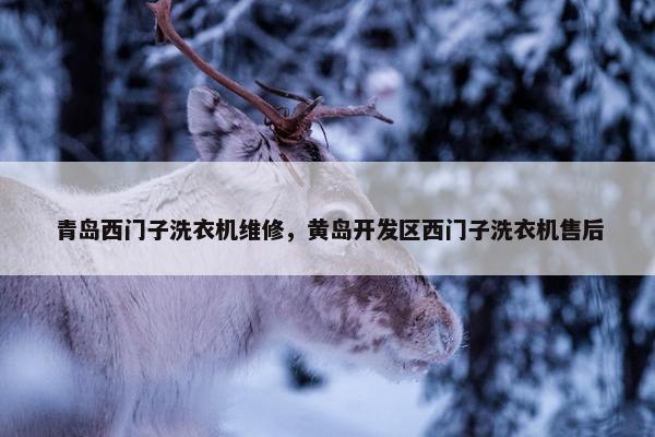 青岛西门子洗衣机维修，黄岛开发区西门子洗衣机售后
