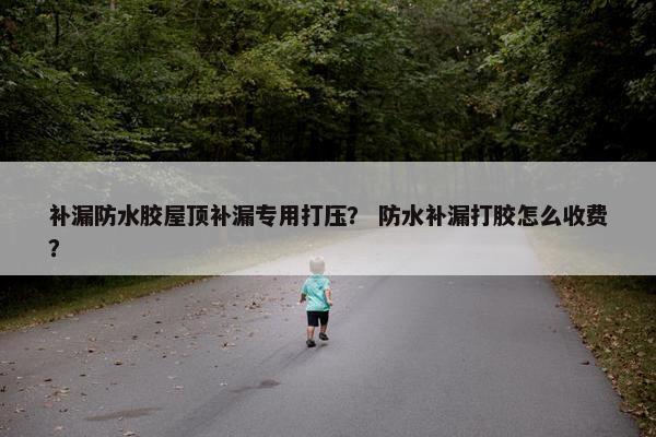 补漏防水胶屋顶补漏专用打压？ 防水补漏打胶怎么收费？