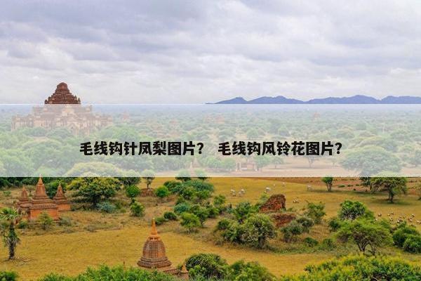毛线钩针凤梨图片？ 毛线钩风铃花图片？