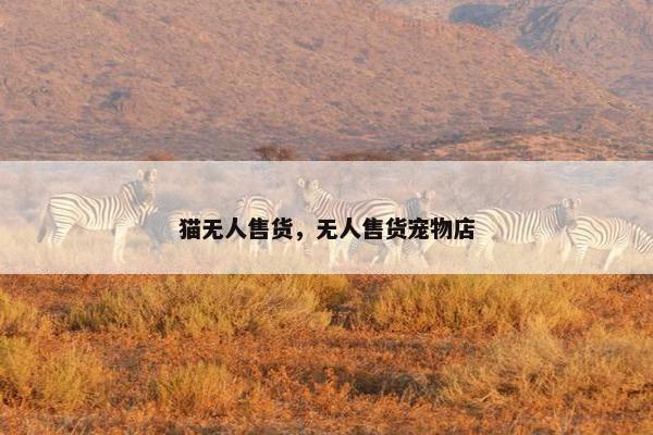 猫无人售货，无人售货宠物店