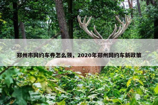 郑州市网约车券怎么领，2020年郑州网约车新政策