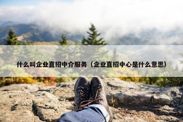 什么叫企业直招中介服务（企业直招中心是什么意思）