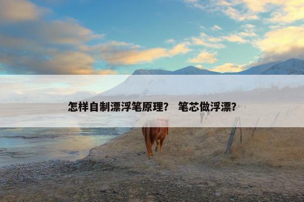 怎样自制漂浮笔原理？ 笔芯做浮漂？