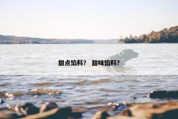 甜点馅料？ 甜味馅料？