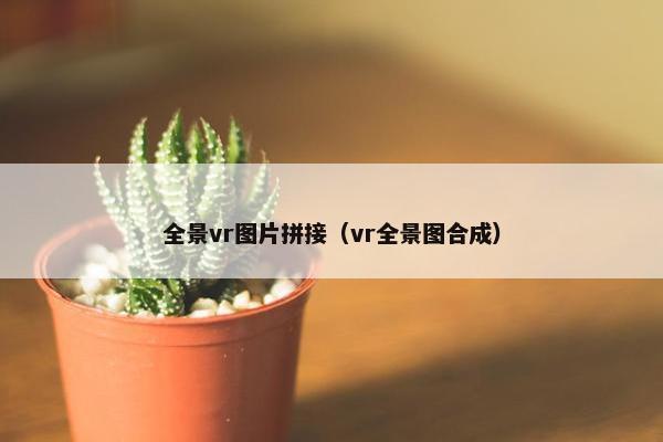 全景vr图片拼接（vr全景图合成）