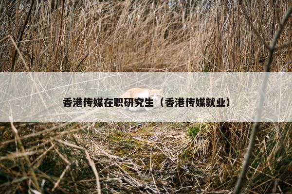 香港传媒在职研究生（香港传媒就业）