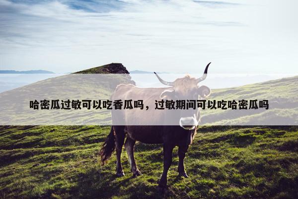 哈密瓜过敏可以吃香瓜吗，过敏期间可以吃哈密瓜吗