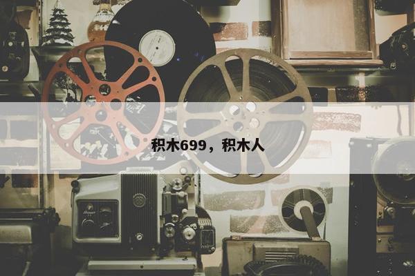 积木699，积木人