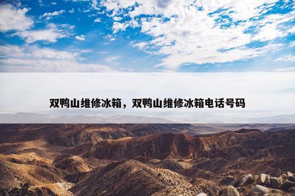 双鸭山维修冰箱，双鸭山维修冰箱电话号码
