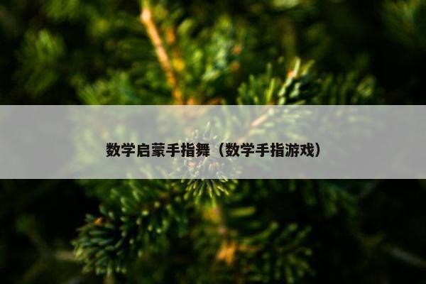 数学启蒙手指舞（数学手指游戏）