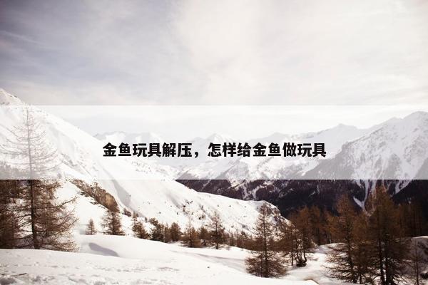 金鱼玩具解压，怎样给金鱼做玩具