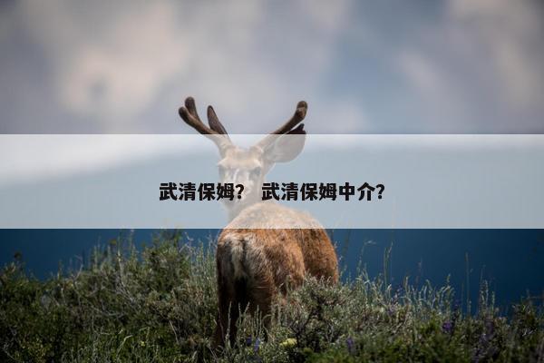 武清保姆？ 武清保姆中介？