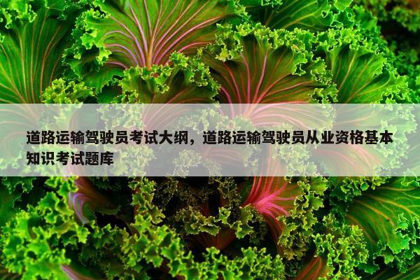 道路运输驾驶员考试大纲，道路运输驾驶员从业资格基本知识考试题库