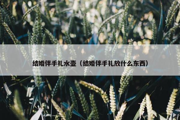 结婚伴手礼水壶（结婚伴手礼放什么东西）