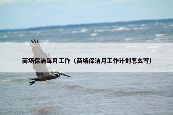 商场保洁每月工作（商场保洁月工作计划怎么写）
