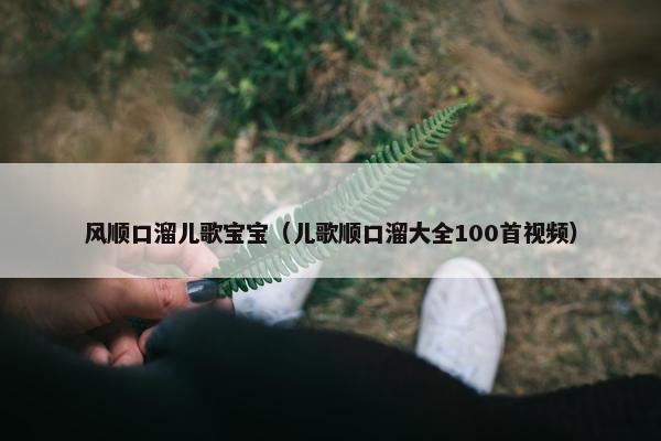 风顺口溜儿歌宝宝（儿歌顺口溜大全100首视频）