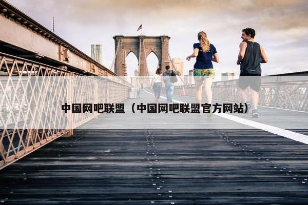 中国网吧联盟（中国网吧联盟官方网站）