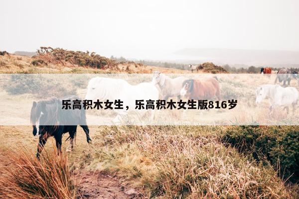 乐高积木女生，乐高积木女生版816岁