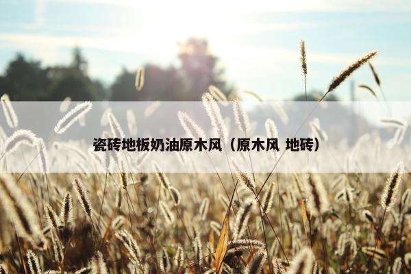 瓷砖地板奶油原木风（原木风 地砖）