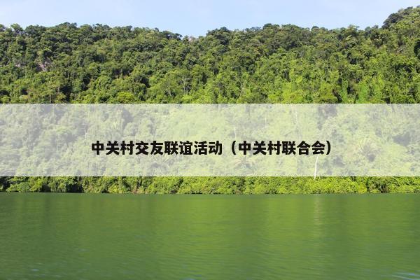 中关村交友联谊活动（中关村联合会）