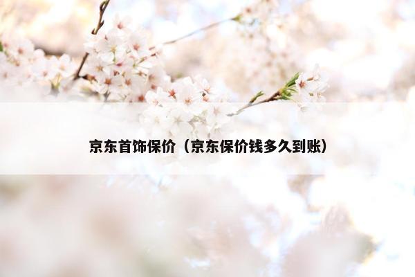 京东首饰保价（京东保价钱多久到账）