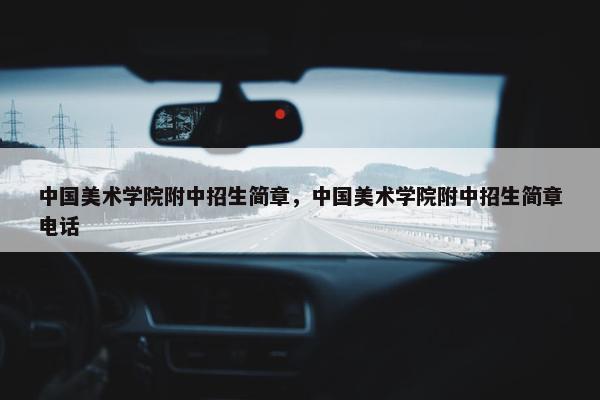 中国美术学院附中招生简章，中国美术学院附中招生简章电话