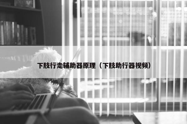 下肢行走辅助器原理（下肢助行器视频）