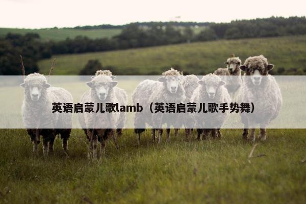 英语启蒙儿歌lamb（英语启蒙儿歌手势舞）