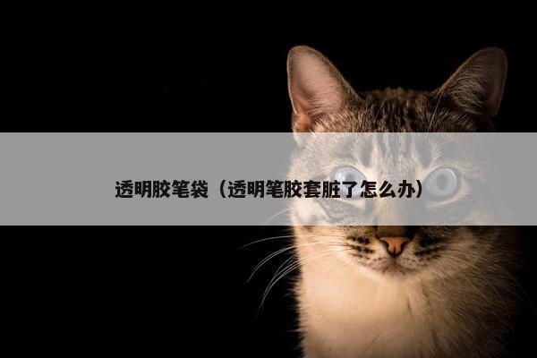 透明胶笔袋（透明笔胶套脏了怎么办）