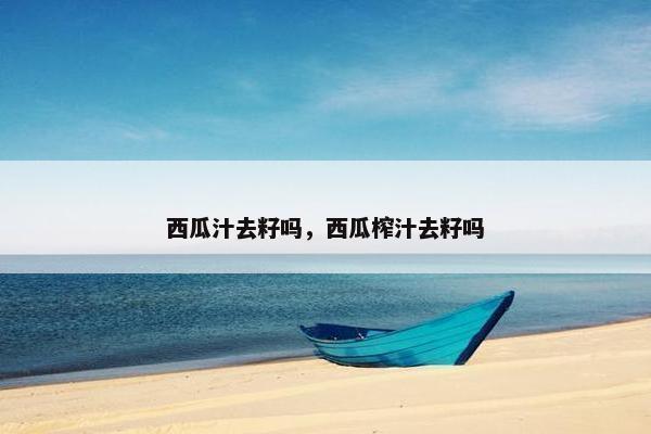 西瓜汁去籽吗，西瓜榨汁去籽吗