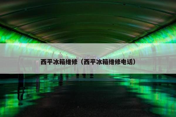 西平冰箱维修（西平冰箱维修电话）