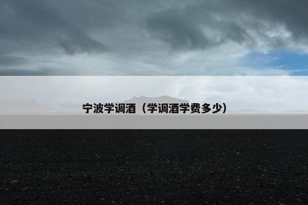 宁波学调酒（学调酒学费多少）