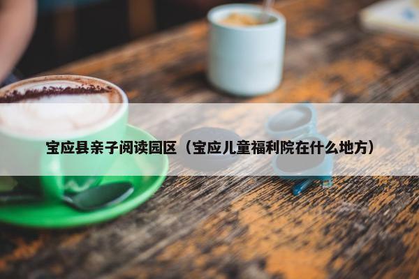 宝应县亲子阅读园区（宝应儿童福利院在什么地方）