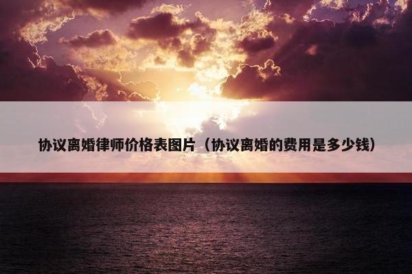 协议离婚律师价格表图片（协议离婚的费用是多少钱）