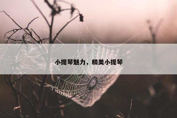 小提琴魅力，精美小提琴