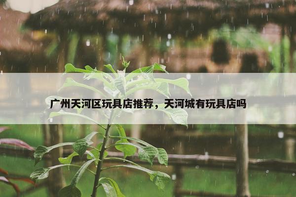 广州天河区玩具店推荐，天河城有玩具店吗