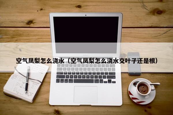 空气凤梨怎么浇水（空气凤梨怎么浇水交叶子还是根）