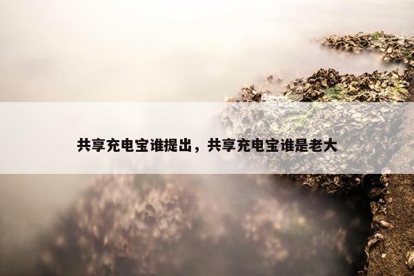 共享充电宝谁提出，共享充电宝谁是老大
