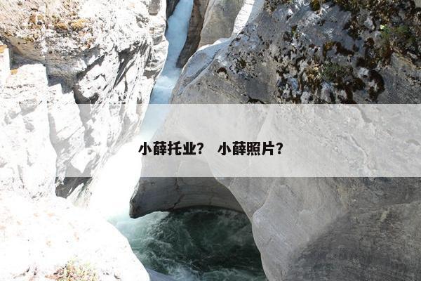 小薛托业？ 小薛照片？