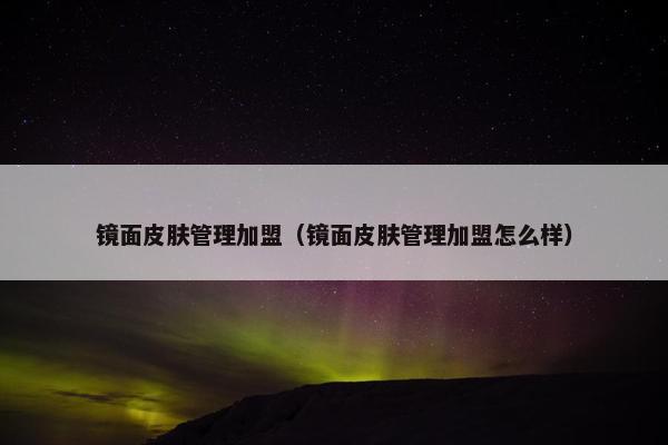 镜面皮肤管理加盟（镜面皮肤管理加盟怎么样）