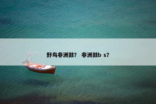 野鸟非洲鼓？ 非洲鼓b s？