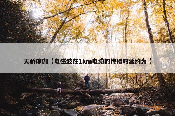 天骄瑜伽（电磁波在1km电缆的传播时延约为 ）