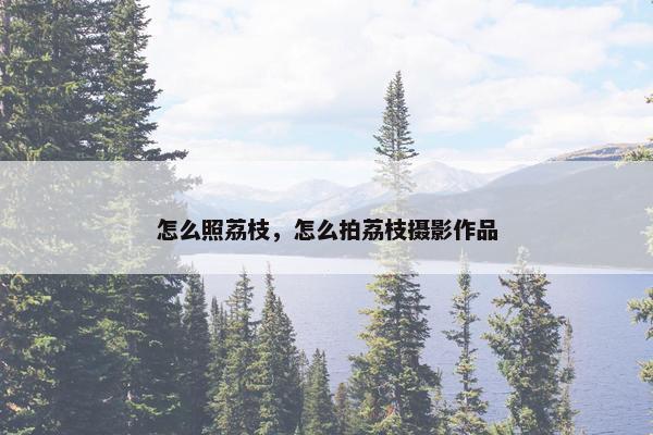 怎么照荔枝，怎么拍荔枝摄影作品