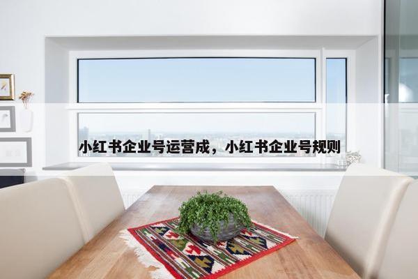 小红书企业号运营成，小红书企业号规则