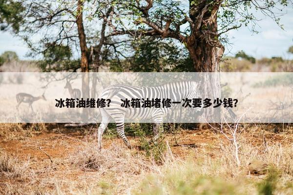 冰箱油维修？ 冰箱油堵修一次要多少钱？