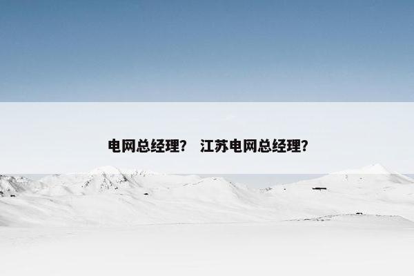 电网总经理？ 江苏电网总经理？