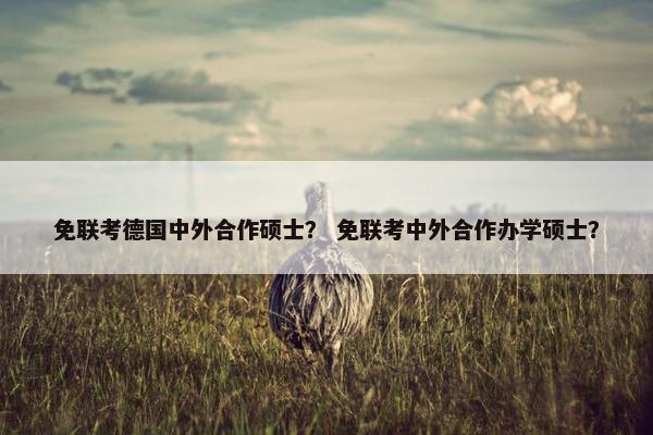 免联考德国中外合作硕士？ 免联考中外合作办学硕士？