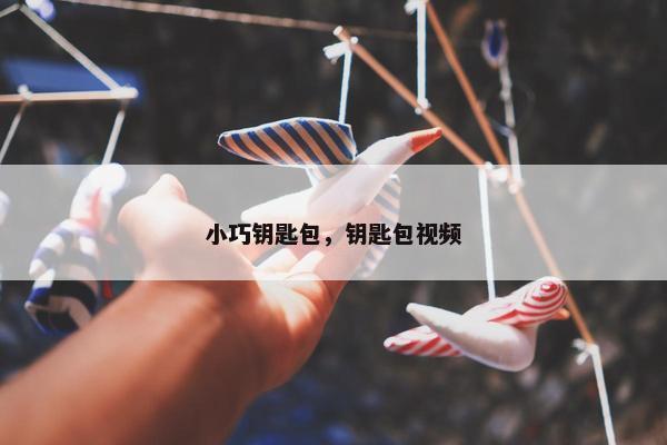 小巧钥匙包，钥匙包视频