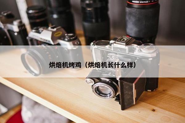 烘焙机烤鸡（烘焙机长什么样）